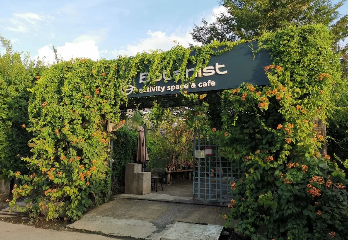 Botanist activity space and more